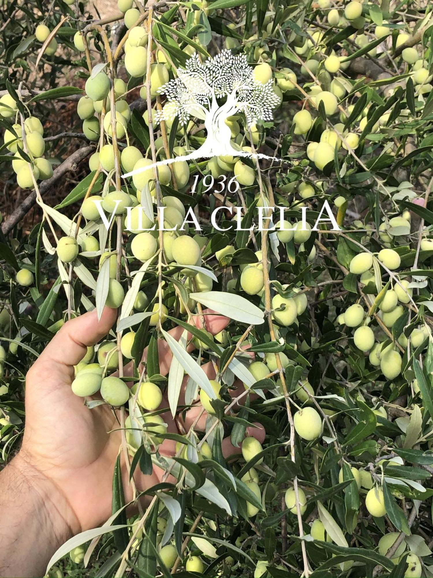 Il Palmento Di Villa Clelia 1936 Locri Buitenkant foto